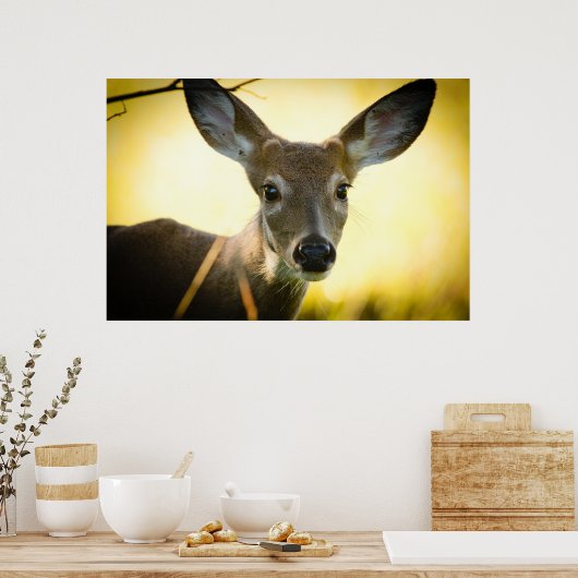 Button Buck Poster (Keuken)