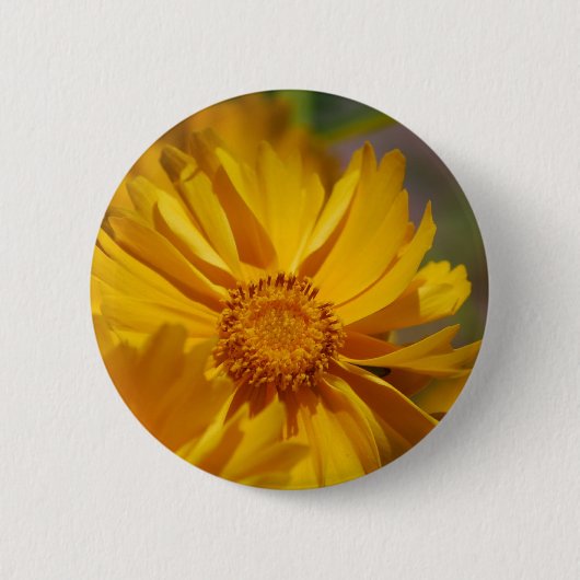 Button  Coreopsis Flowers (Voorkant)