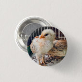 Button Cute Baby Chick  (Voorkant /achterkant)