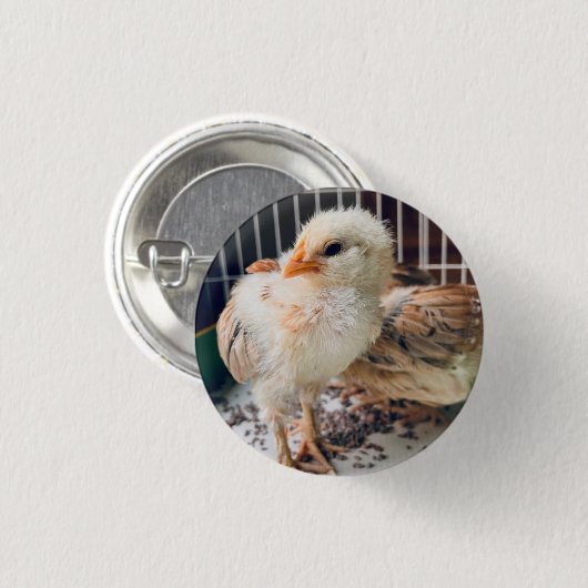 Button Cute Baby Chick  (Voorkant /achterkant)