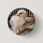 Button Cute Baby Chick  (Voorkant)