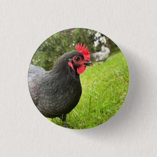 Button Cute Rooster (Voorkant)