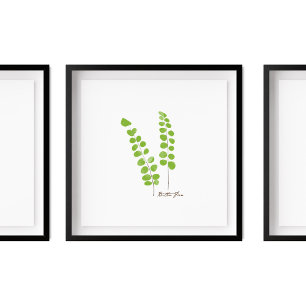 Button Fern Illustration   Serie Fern Poster
