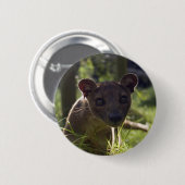 Button - Fossa (Voorkant /achterkant)