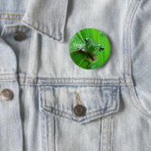 Button groene boomkikker (In situ)