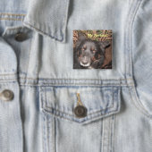 Button Husky Collie Cross (In situ)