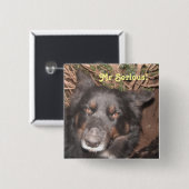 Button Husky Collie Cross (Voorkant /achterkant)
