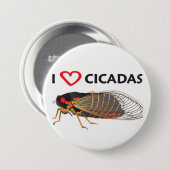 Button "I Love Cicada" (Voorkant /achterkant)