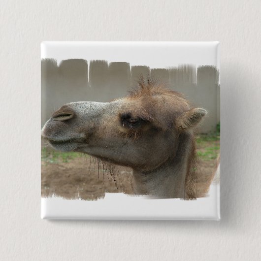 Button kamelenkop (Voorkant)