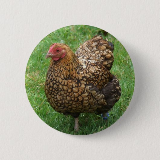Button kippen (Voorkant)