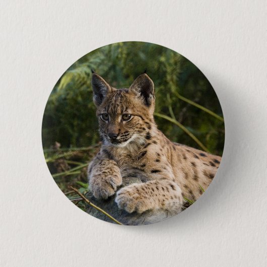 Button - lynx (Voorkant)