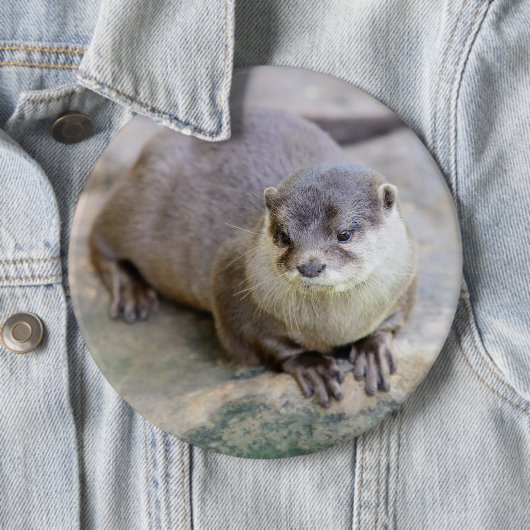 Button met klepelotter (In situ)