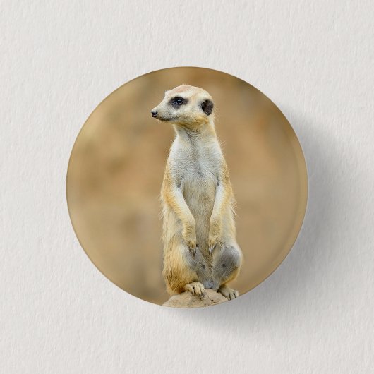 Button met Meerkat op bewaker (Voorkant)