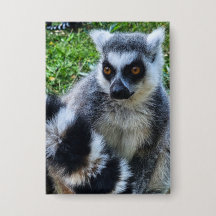 Button met Ringstaartmaki – Unieke Dierenprint