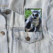 Button met Ringstaartmaki – Unieke Dierenprint (Insitu)