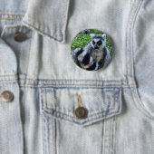 Button met ringstaartmaki – unieke dierenprint (In situ)