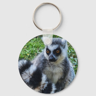 Button met ringstaartmaki – unieke dierenprint sleutelhanger