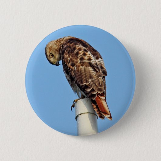 Button met rode vierkant (Voorkant)