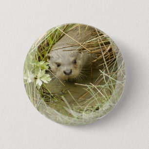 Button Otter Habitat