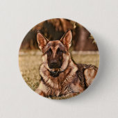 Button Shepherd Dog Hackibus (Voorkant)