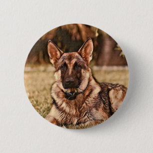 Button Shepherd Dog Hackibus