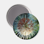 Button Struik Magneet (Voorkant / Achterkant)