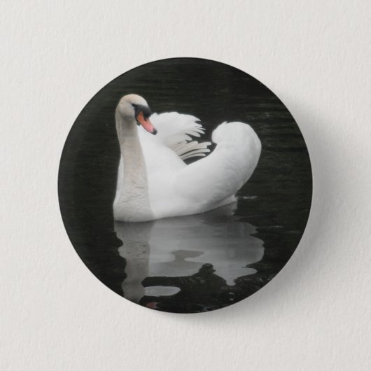 Button Swan Swimming (Voorkant)
