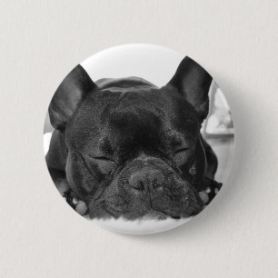 Button van de Franse Bulldog Round