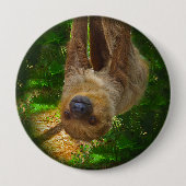 Button van de Sloth Rainforest (Voorkant)
