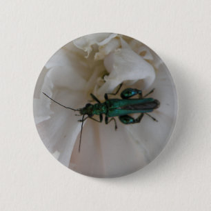 Button van de ventilatorkegel