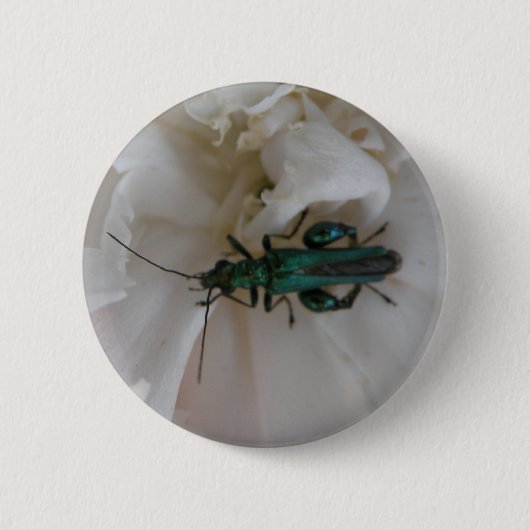 Button van de ventilatorkegel (Voorkant)