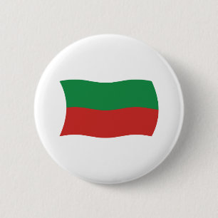 Button van de vlag van Sac & Fox Nation (Iowa)