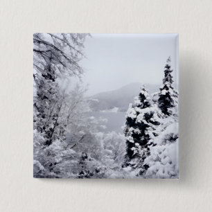 Button van het meer Nojiri