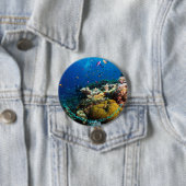 Button van koraal Zee (In situ)