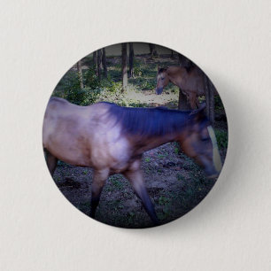 Button van paard 2