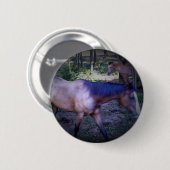 Button van paard 2 (Voorkant /achterkant)
