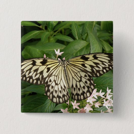 Button van papiermijt Butterfly (Voorkant)