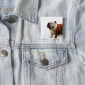 Button van Smug Bulldog (In situ)