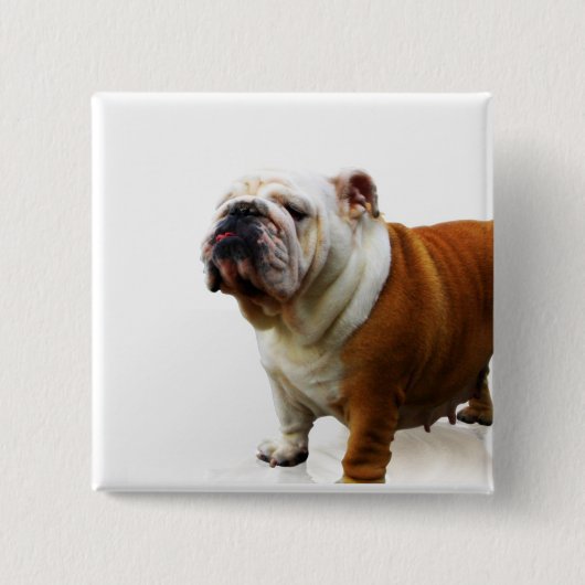 Button van Smug Bulldog (Voorkant)