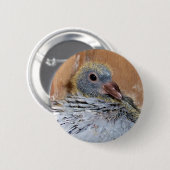 Button van trekduif (Voorkant /achterkant)