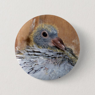 Button van trekduif