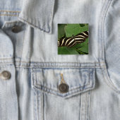 Button voor langwerpige vlinder (In situ)