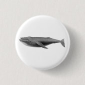 BUTTON VOOR WALE ZEELGOED (Voorkant)