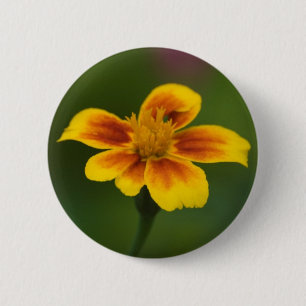 Button zonder titel