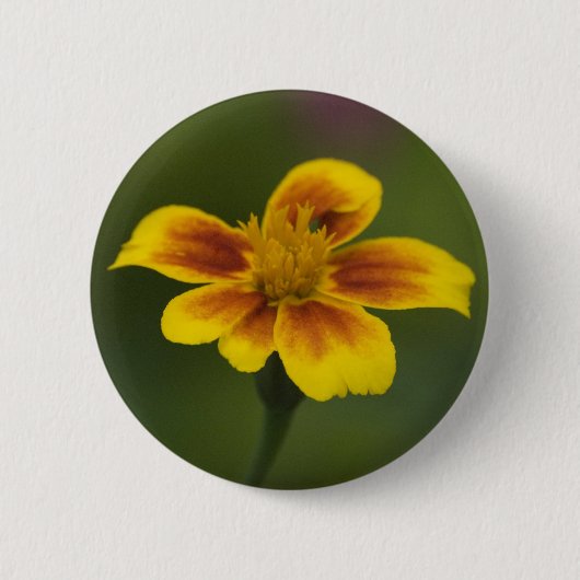 Button zonder titel (Voorkant)