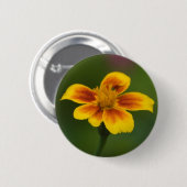 Button zonder titel (Voorkant /achterkant)