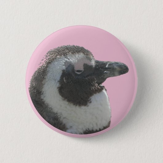  Button Zuid-Afrikaanse pinguïn (Voorkant)