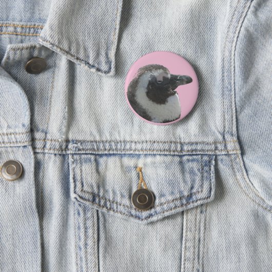  Button Zuid-Afrikaanse pinguïn (In situ)
