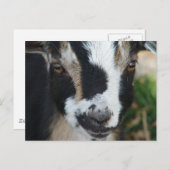 Buttonnen Briefkaart (Voorkant / Achterkant)