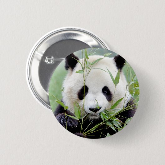 Buttonnen reusachtige panda. Panda-wedstrijd. Ronde Button 5,7 Cm (Voorkant /achterkant)